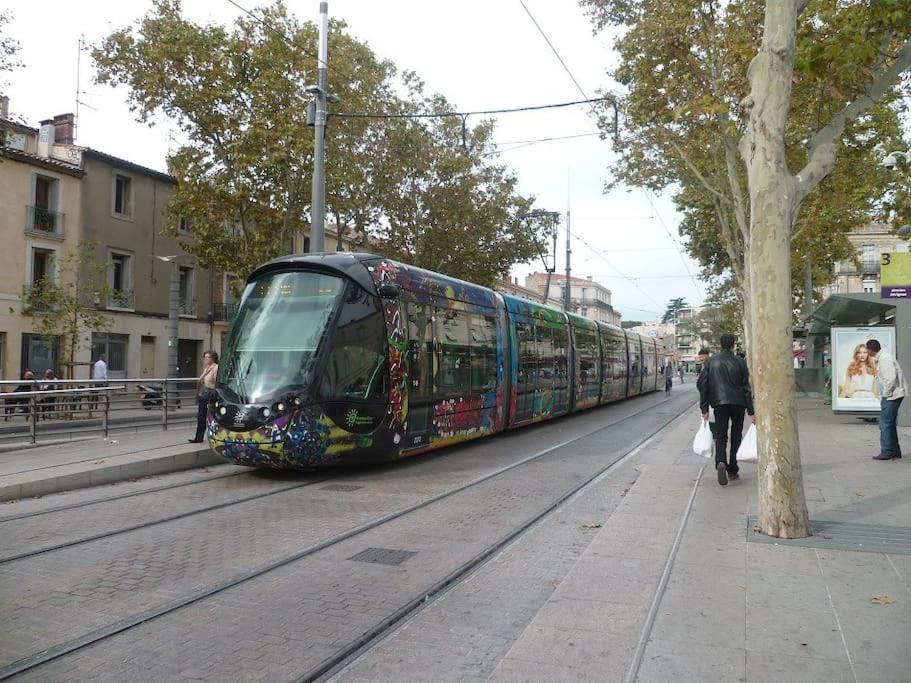 Artistic Loft, Downtown Montpellier, Wifi Apartman Kültér fotó